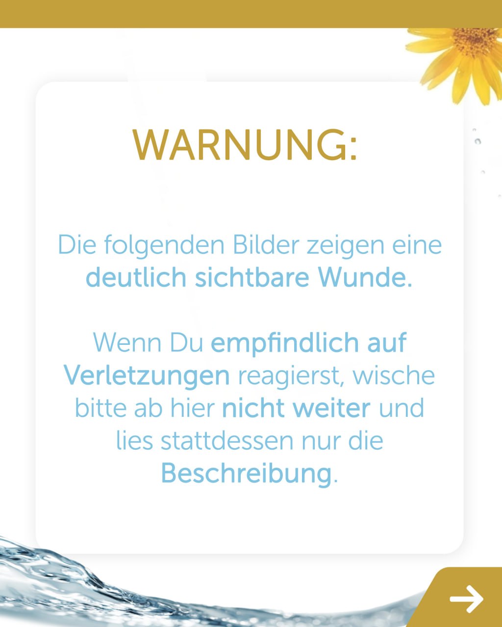 guardian angel – Hinweis Beschreibung